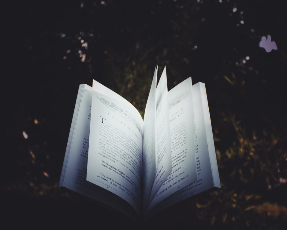 Creative Christmas Guide